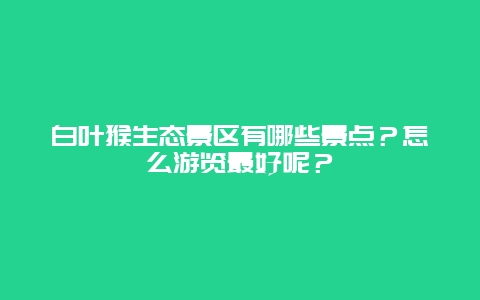 白叶猴生态景区有哪些景点？怎么游览最好呢？