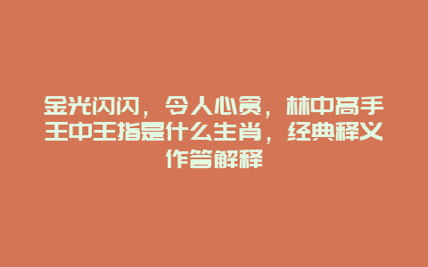 金光闪闪，令人心贪，林中高手王中王指是什么生肖，经典释义作答解释