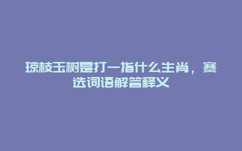琼枝玉树是打一指什么生肖，赛选词语解答释义